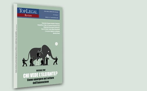 Chi vede l’elefante?